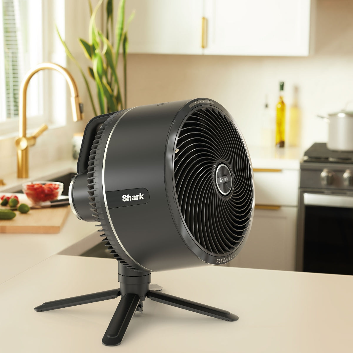 Ventiladores y purificadores